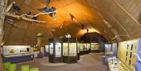 Muséum d'Histoire Naturelle à Blois