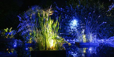Nocturnes au jardin : promenades poétiques dans les jardins du Festival au Domaine de Chaumont-sur-Loire