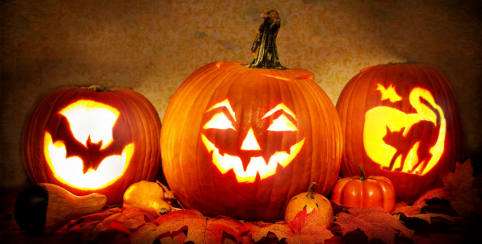 Atelier citrouilles d'Halloween à la Maison du Parc à Blois