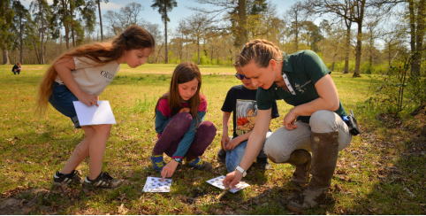 Sur les traces des animaux : sortie nature au Domaine de Chambord