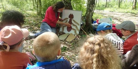 Insectes et compagnie : atelier nature en famille avec le CDPNE, près de Blois