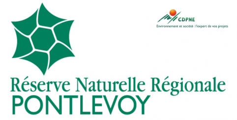 Réserve naturelle de Pontlevoy pour une balade en famille près de Blois