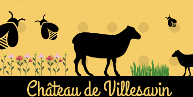 Journée de l'abeille noire et du mouton de Sologne au Château de Villesavin (près de Blois)