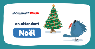 Les animations à Blois et dans le Loir-et-Cher en attendant Noël !