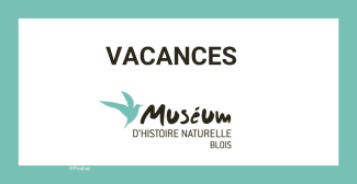 Vacances au Muséum d’Histoire Naturelle de Blois : expo et animations pour tous
