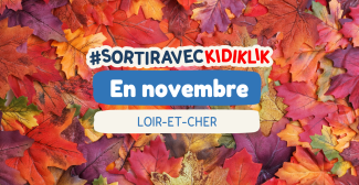 Que faire en novembre dans le Loir-et-Cher, à Blois ou Romorantin ?