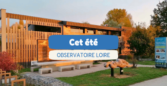 Cet été, cap sur la Loire pour une immersion en famille