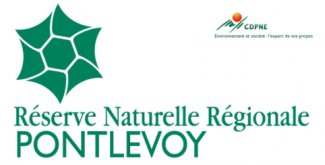 Réserve naturelle de Pontlevoy pour une balade en famille près de Blois